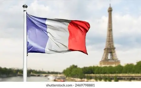 images 5 images 5
